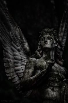 Dark Cemetery, Roman Statues, Gothic Statue, Cemetery Angels, Greek Statues, Statue Art, Angel Sculpture, Cemetery Art, Angel Statues