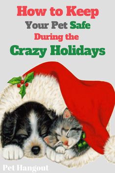 a book cover for how to keep your pet safe during the crazy holidays