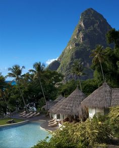 an outdoor swimming pool with thatched umbrellas and palm trees in the foreground