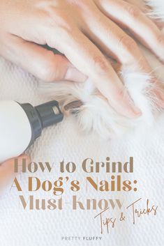 a dog's nails are being groomed with a hair dryer