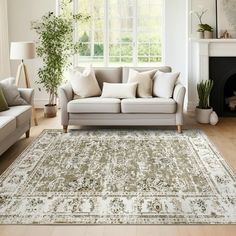 a living room filled with furniture and a large rug on top of a hard wood floor