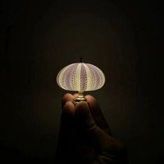 a hand holding a small white light in the dark