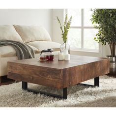 a living room with a couch, coffee table and potted plant