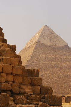 the giraffe is standing in front of the pyramid