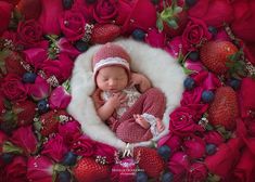 a newborn baby is sleeping in a wreath of roses and strawberries, surrounded by berries