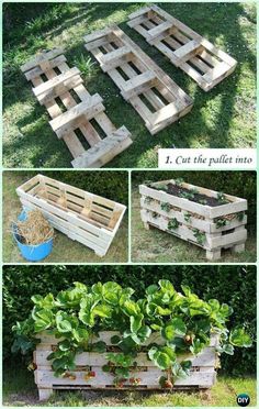 several different types of wooden pallets with plants growing in them and the words, i cut