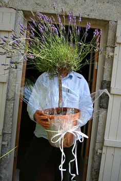 a man holding a potted plant in front of a door with ribbon around it