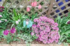 purple and pink flowers blooming in front of a wooden fence