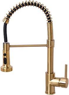 an image of a kitchen faucet that is gold and has black hose attached to it