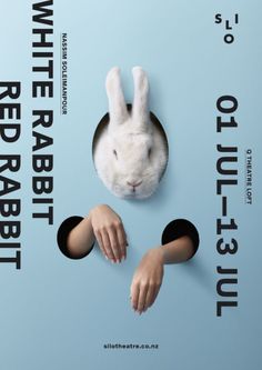 a person's hand reaching out from behind a fake rabbit head on a blue background