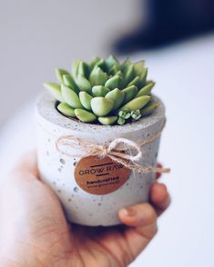 a person holding a small potted plant in it's hand with a tag on it