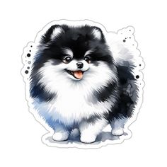 a black and white pomeranian dog sticker on a white background with bubbles around it