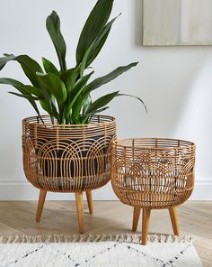 two wicker baskets with plants in them sitting on a wooden floor next to a rug