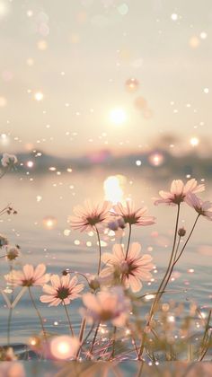 the sun shines brightly behind some daisies in front of a body of water