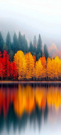 the trees are changing colors and reflecting in the water