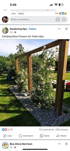 an image of a garden in the middle of a facebook page with flowers growing on it