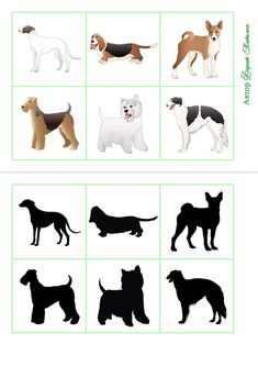 an image of dogs that are in different colors and sizes, with the words on each side