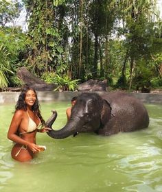 an elephant and a woman in the water