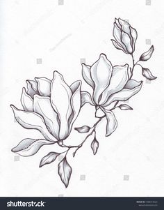 Magnolia Flower Sketch, Magnolia Pencil Drawing, Magnolia Drawing Wallpaper, Magnolia Vector, Magnolia Flower Line Drawing, Maze Tattoo, Hope Tattoo, Metal Flower Wall Decor, Self Love Tattoo