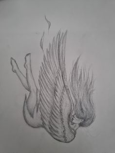 a pencil drawing of a bird with wings on it's back and tail feathers spread out