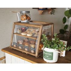 an assortment of pastries on display in a glass case next to a potted plant