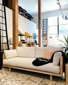 a living room with a white couch and wooden ladder in the corner, next to a potted plant