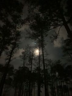 the moon is shining through the trees in the night sky