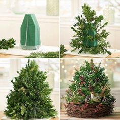 four pictures of different types of christmas trees