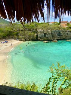 people are swimming in the clear blue water on a beach near some cliffs and trees