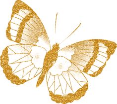 a golden butterfly with white wings and gold glitters on it's back side