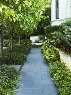 an outdoor walkway surrounded by trees and plants