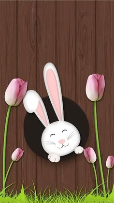 a rabbit is peeking out from behind some pink tulips on a wooden fence