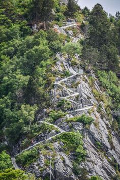 people are walking up and down the stairs on top of a mountain in the forest