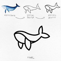 an image of different types of whales