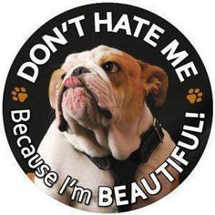 Yes you are Olde English Bulldogge, Bulldog Gifts