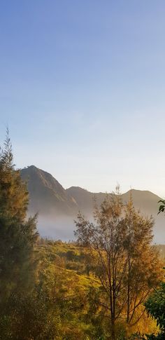 the mountains are covered in fog and trees