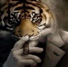 a person holding a cell phone up to their face with a tiger's head on it