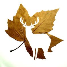 a leaf shaped like a deer with antlers on it