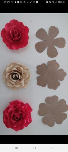 paper flowers are arranged in different shapes and sizes