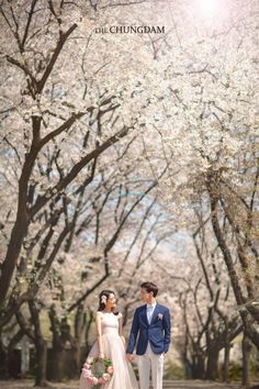 Wedding Shoot Ideas, Korean Prewedding, Sakura Wedding, Prenuptial Photoshoot, Wedding Korea, Korean Photoshoot, Visiting Japan, Korea Wedding