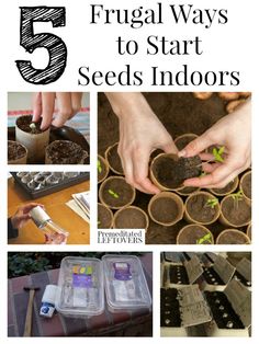 the cover of five frugal ways to start seeds indoors, including seeding