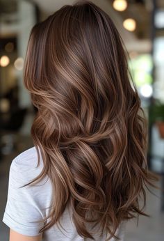 Frost-Touched: 15 Winter Hair Colors to Try Now Chestnut Hair With Lowlights, Brown Hair With Highlights Red Tones, Long Reddish Brown Hair With Highlights, Lived In Summer Brunette, Highlight Rambut Brown, Hairlights In Brown Hair, Choc Brown Hair With Highlights, Brunette Carmel Highlight, Natural Hair Colors For Brunettes