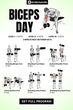 Beginner Bicep Workout At Home, Inner Bicep Workout, Bicep And Tricep Workout Dumbell, Arm Day Workout Gym, Arm Workout For Men, Back Bicep Workout, Biceps And Triceps Workout, Bicep Workout Gym, Tricep Workouts