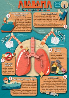 the anatomy of the human body and its major functions infographical poster for kids