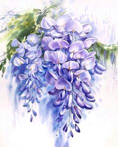 a painting of purple flowers on a white background