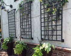 Multiple Size Trellis, Classic Square Grid Trellis, Outdoor Plant Panel, Custom Made Metal Trellis, Square Grid Wall Mounted Plant Support - Etsy Canada Small Trellis, Wall Trellis, Trellis Panels, Growing Gardens, Water Element, Plant Stands