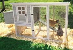 a chicken coop with two chickens in it