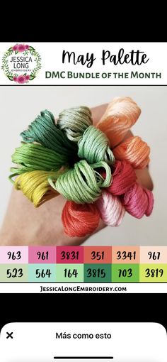 a hand holding several skeins of multicolored yarn in different colors and sizes