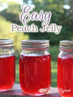 Peach season will be on us before you know itWhat should you plan to make with peachesPeach Jellyof course Canning Peach Jelly, How To Make Peach Jelly, Jello Jelly Recipes, Juice Jelly Recipes, What To Do With Peach Juice, Peach Peel Jelly Recipe, Peach Juice Recipes Canning, Fruit Juice Jelly Recipe