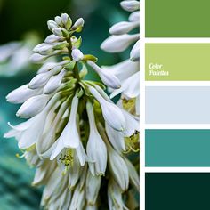 the color scheme is green, white and blue with some flowers on top of it